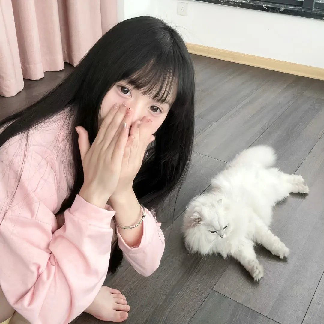 安吉里卡